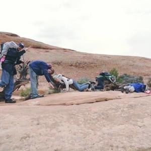 Meet your Posher, Marie